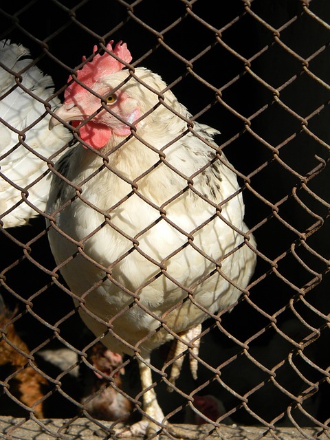 防守脱节多 防守脱节多