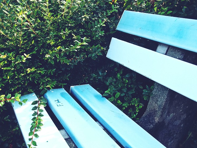 化背後的原 化背後的原