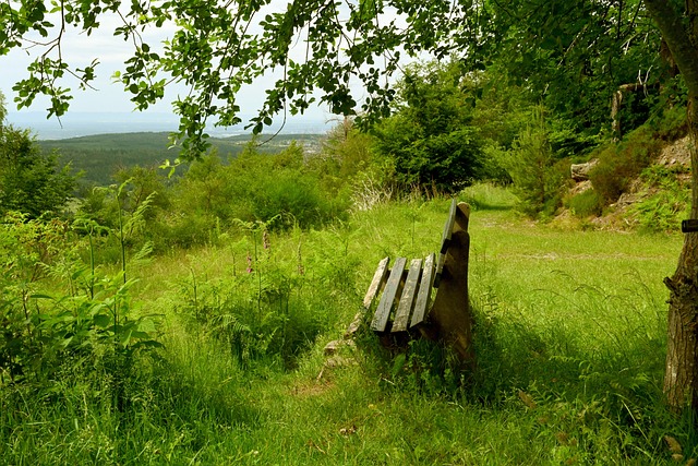 的成功举办 的成功举办