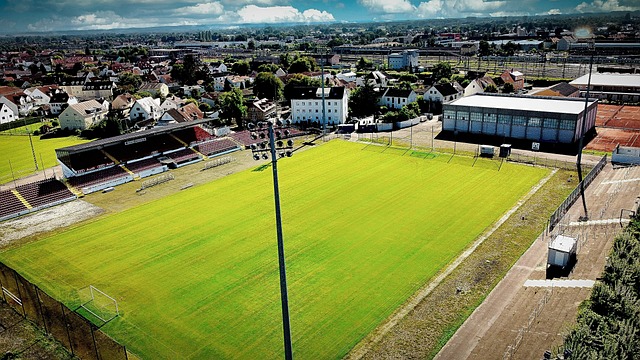 的战略调整 的战略调整