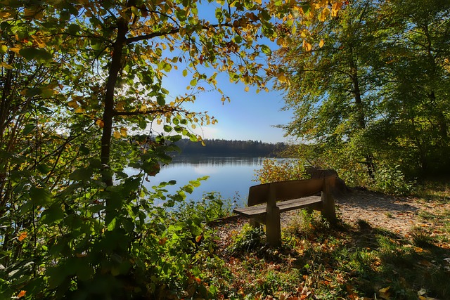 作为一项 作为一项